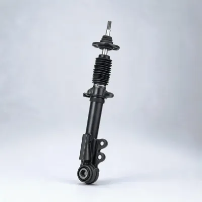 hydraulic shock absorber