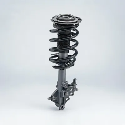 strut assembly